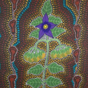 Woman on Walkabouts Gathering Bush Tomatoes