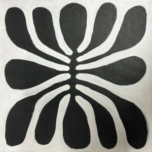 Mulga Tree