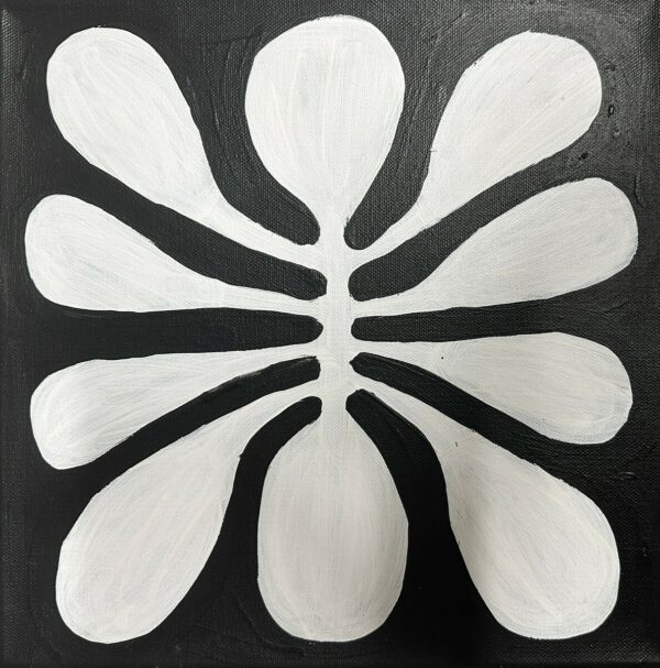 Mulga Tree