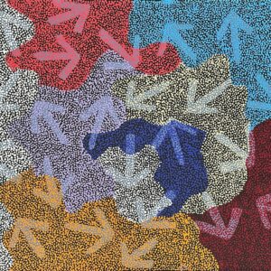 Yankirri Jukurrpa (Emu Dreaming)