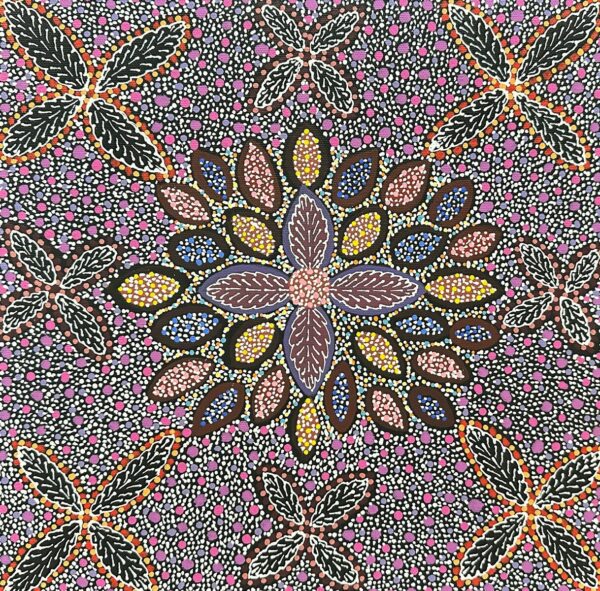 Ilyartnayt (Acaia Flower)