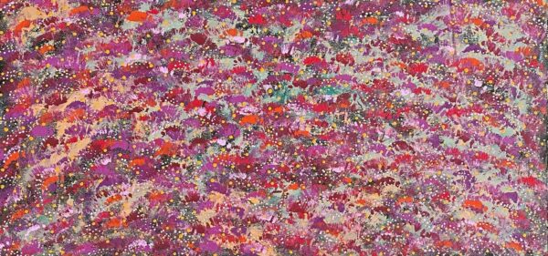 Pink and Purple Mulla Mulla