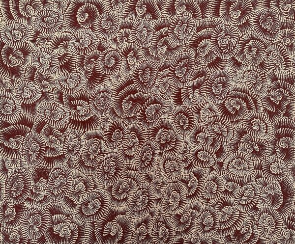 Pamapardu Tjukurrpa (Flying Ant Dreaming)