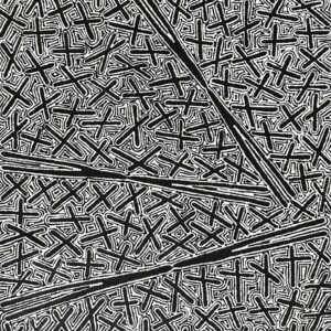 Ngatijirri Jukurrpa (Budgerigar Dreaming)