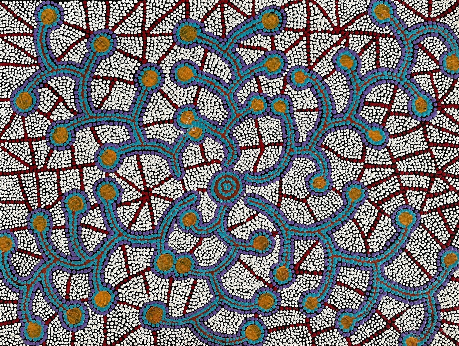 Wanakiji Jukurrpa (Bush Tomato Dreaming)