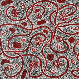 Janganpa Jukurrpa (Brush-tail Possum Dreaming)- Mawurrji