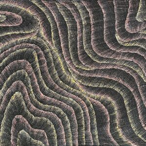 Wanakiji Jukurrpa (Bush Tomato Dreaming)