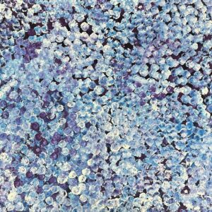 Anwekety (Conkerberry)