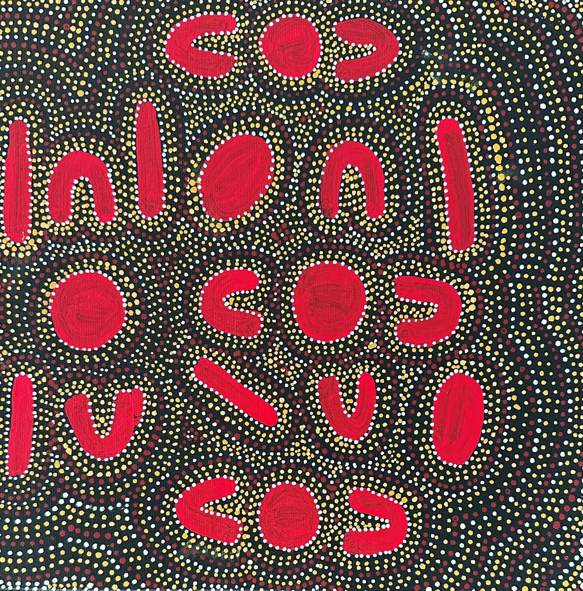 Atwakeye (Bush Orange)