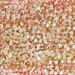 Anwekety (Conkerberry)