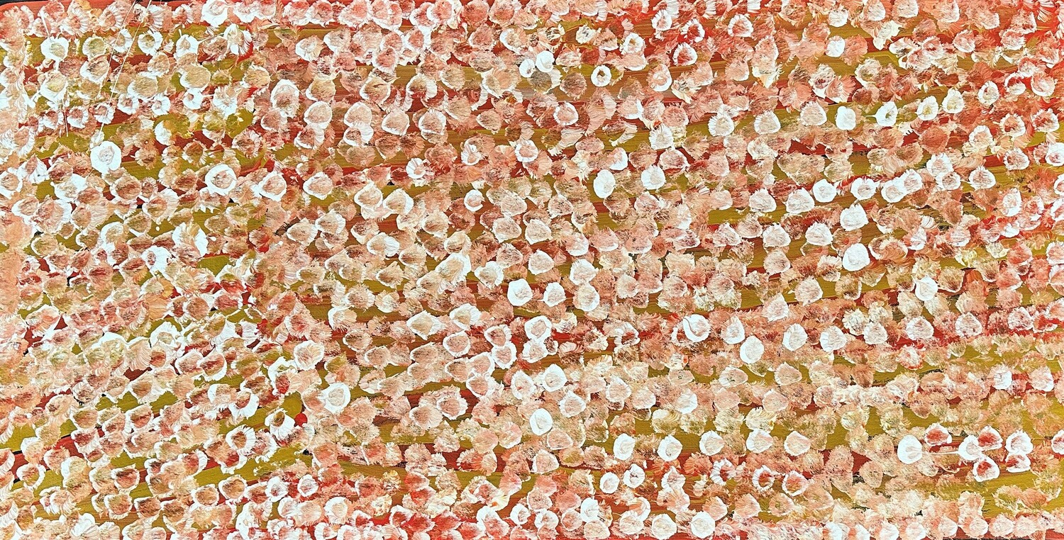 Anwekety (Conkerberry)