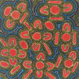 Atwakeye (Bush Orange)