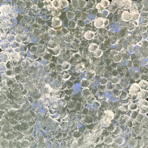 Anwekety (Conkerberry)