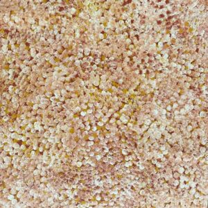 Anwekety (Conkerberry)