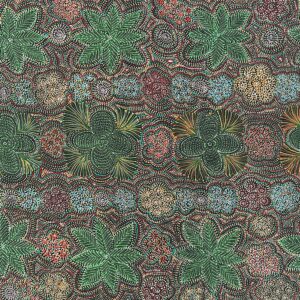 Awelye (women's ceremony) for sugarbag