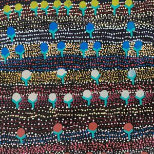 Wanakiji Jukurrpa (Bush Tomato Dreaming)