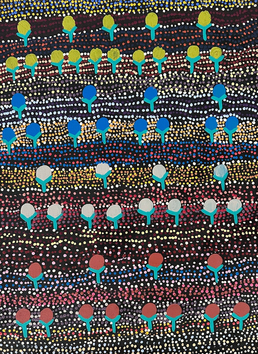 Wanakiji Jukurrpa (Bush Tomato Dreaming)