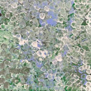 Anwekety (Conkerberry)