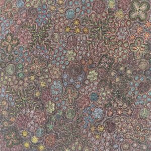 Awelye (women's ceremony) for sugarbag