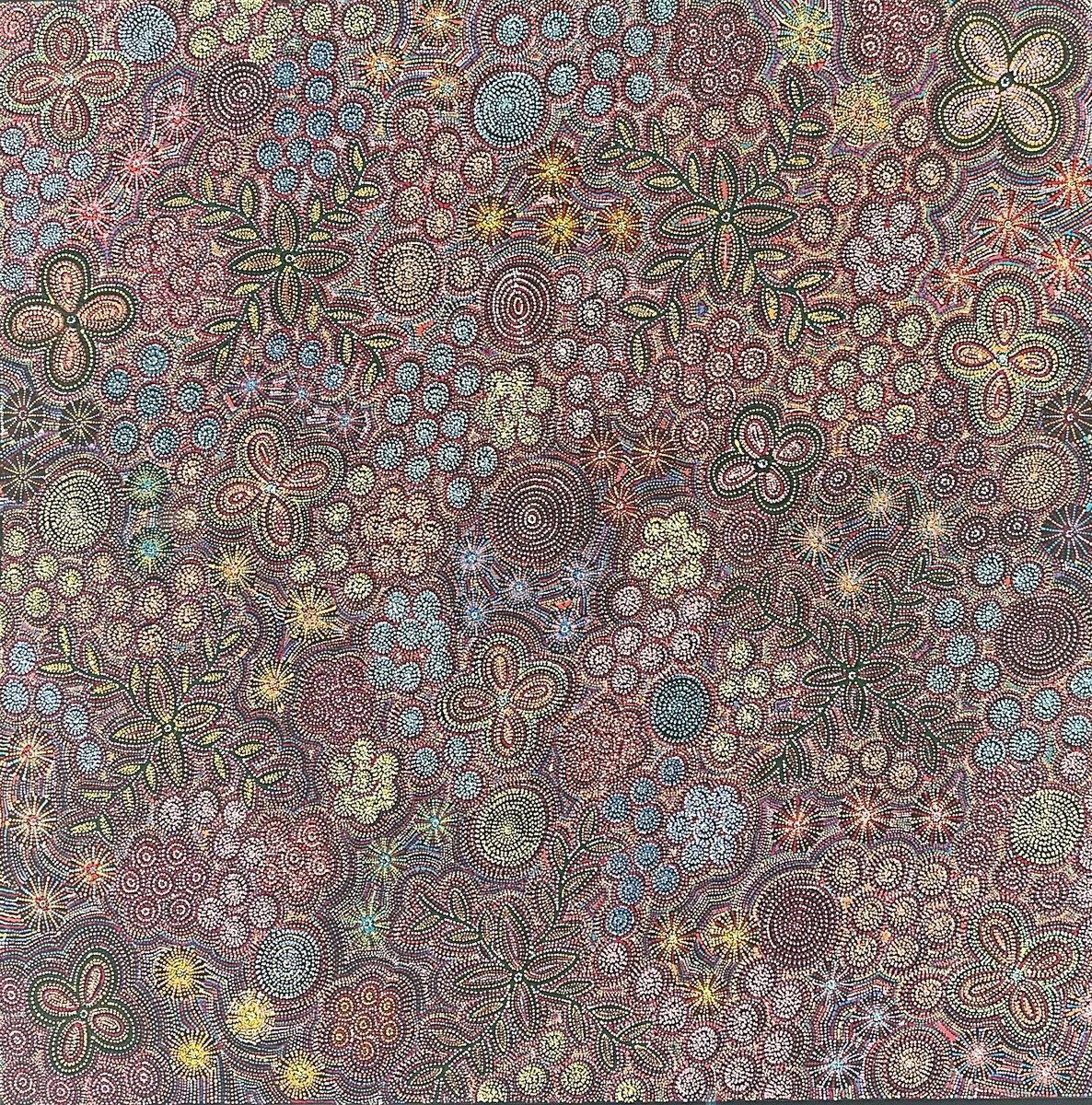 Awelye (women's ceremony) for sugarbag