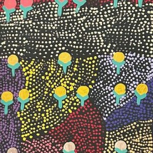 Wanakiji Jukurrpa (Bush Tomato Dreaming)