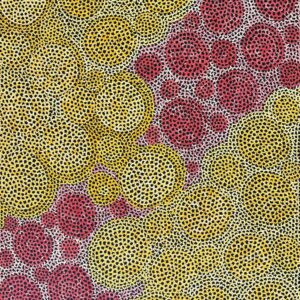 Pamapardu Jukurrpa (Flying Ant Dreaming) - Warntungurru