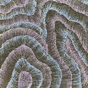 Wanakiji Jukurrpa ( Bush Tomato Dreaming)