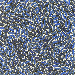 Warlukurlangu Jukurrpa (Fire country