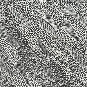 Pikilyi Jukurrpa (Vaughan Springs)