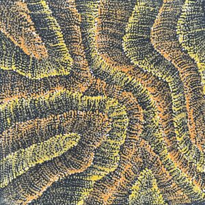 Wanakiji Jukurrpa (Bush Tomato Dreaming)