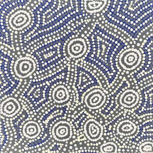 Wardapi Jukurrpa (Goanna Dreaming) - Yarripilangu