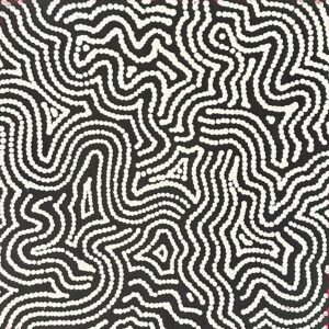 Ngapa Jukurrpa (Water Dreaming)