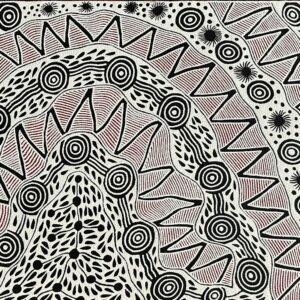 Pikilyi Jukurrpa (Vaughan Springs Dreaming)