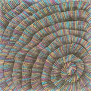 Pamapardu Jukurrpa (Flying Ant Dreaming) - Warntungurru