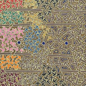 Yankirri Jukurrpa (Emu Dreaming) - Ngarlikirlangu