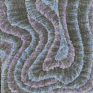 Wanakiji Jukurrpa ( Bush Tomato Dreaming)