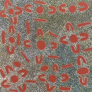 Atwakeye (Bush Orange)