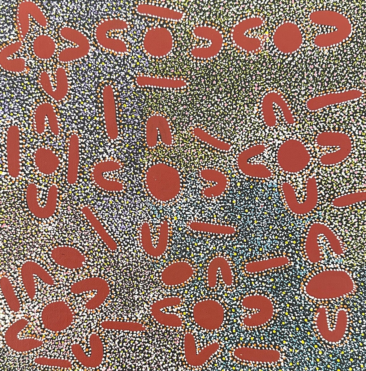 Atwakeye (Bush Orange)