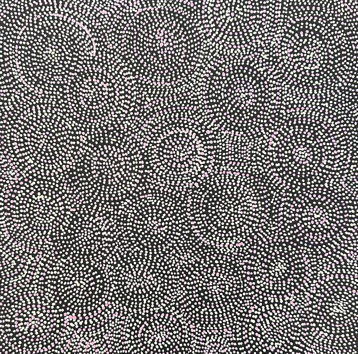 Akarley (Northern Wild Orange)