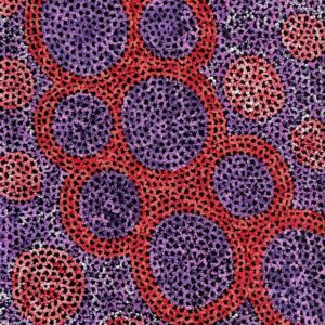 Pamapardu Jukurrpa Flying Ant Dreaming) Warntungurru