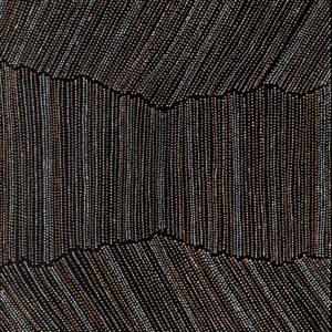 Ngapa Jukurrpa (Water Dreaming) - Puyurru