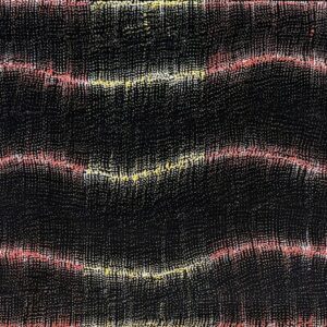 Wanakiji Jukurrpa (Bush Tomato Dreaming)