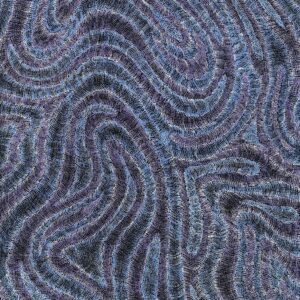 Wanakiji Jukurrpa (Bush Tomato Dreaming)