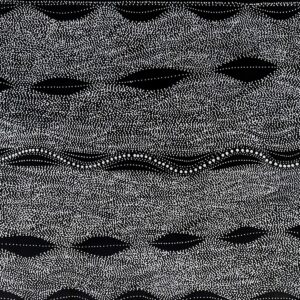 Watiya-warnu Jukurrpa (Seed Dreaming)