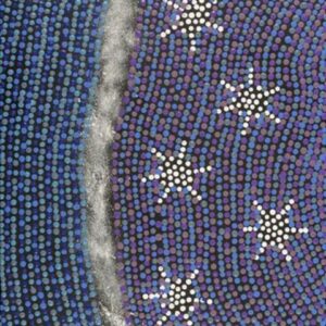 Napaljarri-warnu Jukurrpa (Seven Sisters Dreaming)