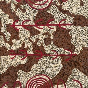 Puturlu Jukurrpa (Mt Theo Dreaming)