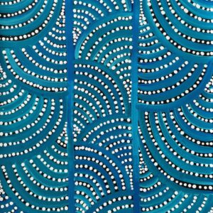Wardapi Jukurrpa (Goanna Dreaming) - Yarripilangu
