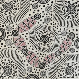 Pikilyi Jukurrpa (Vaughan Springs Dreaming)