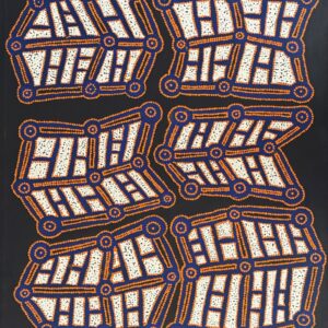 Ngapa Jukurrpa (water dreaming)