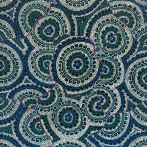 Ngalyipi Jukurrpa (Snake Vine Dreaming)